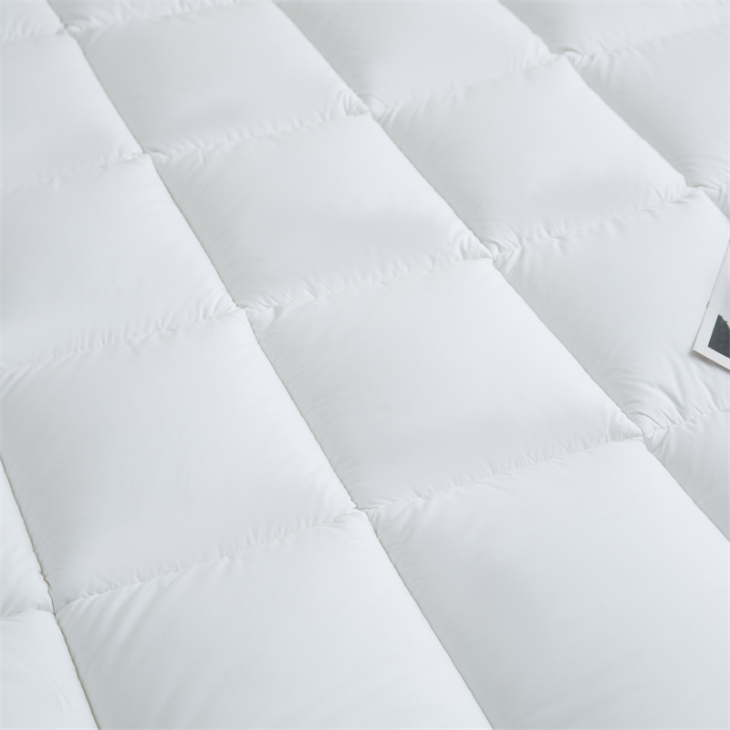 Customized Print Logo Microfiber Filling 40s Downproof Fabric na may Piping Mattress Topper Customized Print Logo Microfiber Filling 40s Downproof Fabric na may Piping Mattress Topper